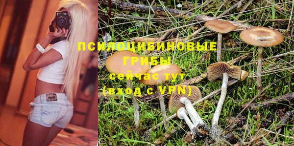 бошки Алзамай