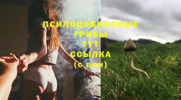бошки Алзамай